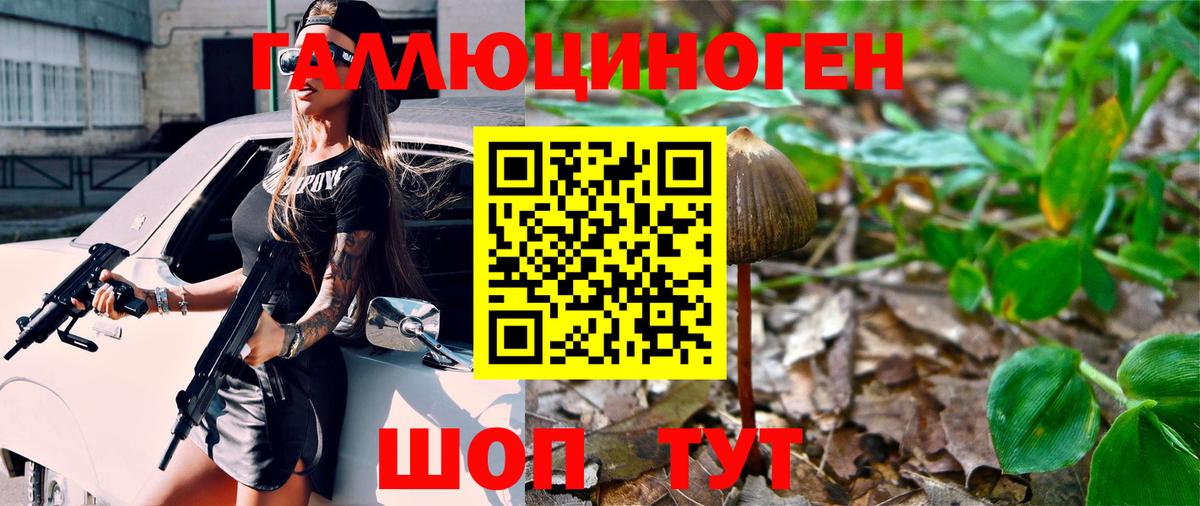 Галлюциногенные грибы Cubensis  Вход с VPN  сколько стоит  Галлюциногенные грибы GOLDEN TEACHER  Лыткарино 